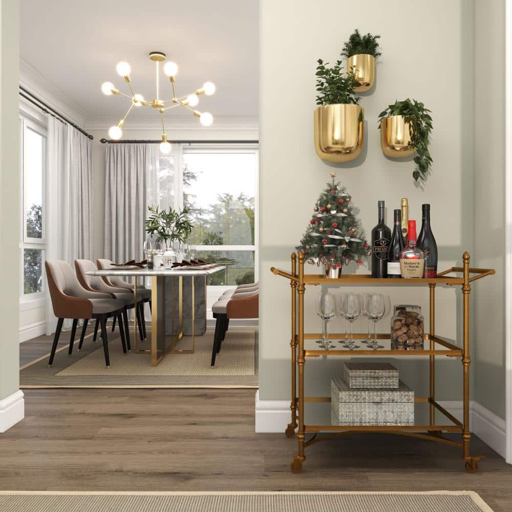 Gold Iron Indoor Outdoor Round Wall Planter Set of 3