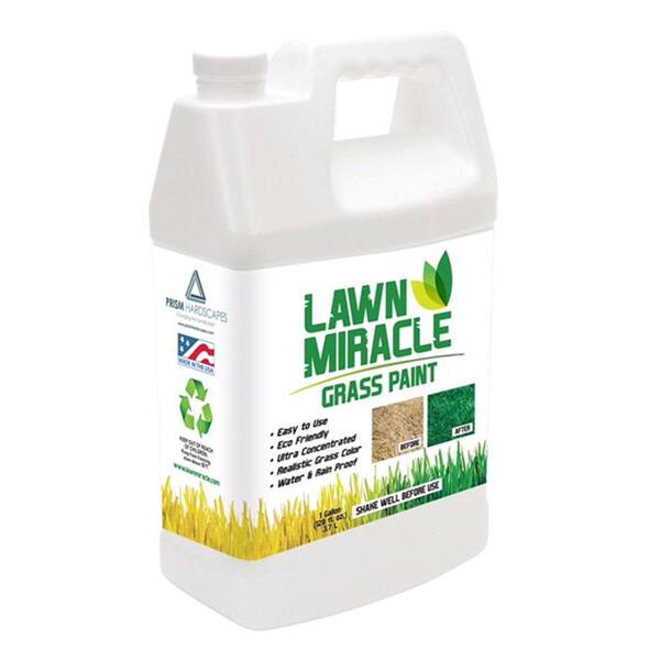 Unbranded Lawn Miracle 1 Gal. Green Grass Paint Concentrate Covering Up to 2000 sq. ft.