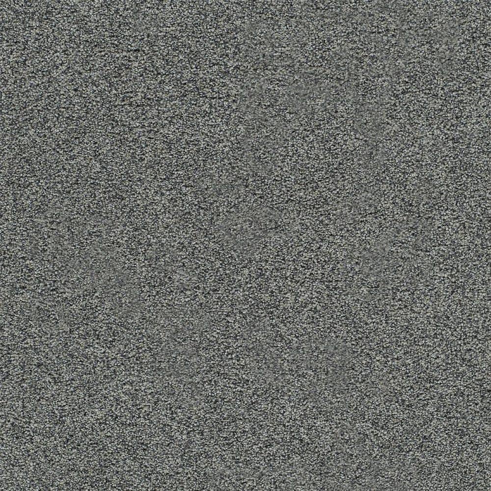 8 in. x 8 in. Texture Carpet Sample-Cinderella Soft III-Color Pleasing price history on PriceWatchPro