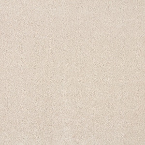 Silver Mane I  - Almost White - Beige 50 oz. Triexta Texture Installed Carpet