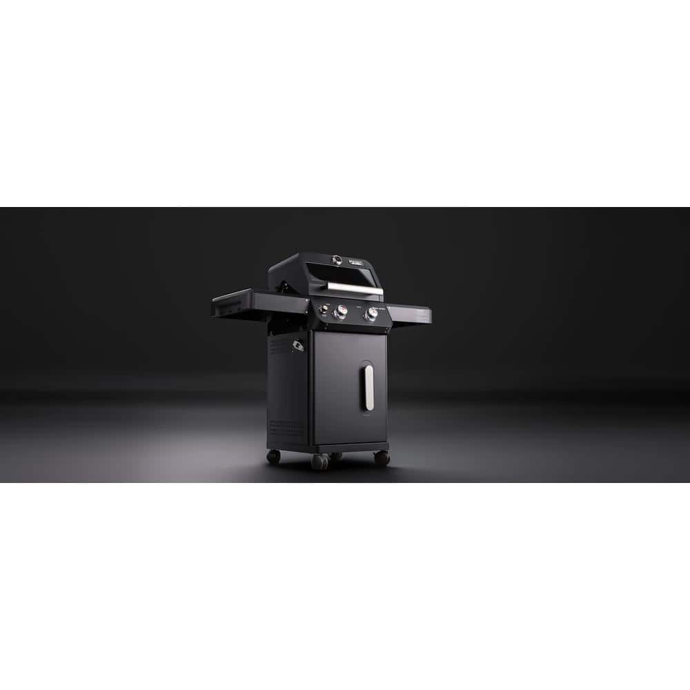 Mesa Black 2-Burner Stainless Steel Propane Gas Grill with LED Controls