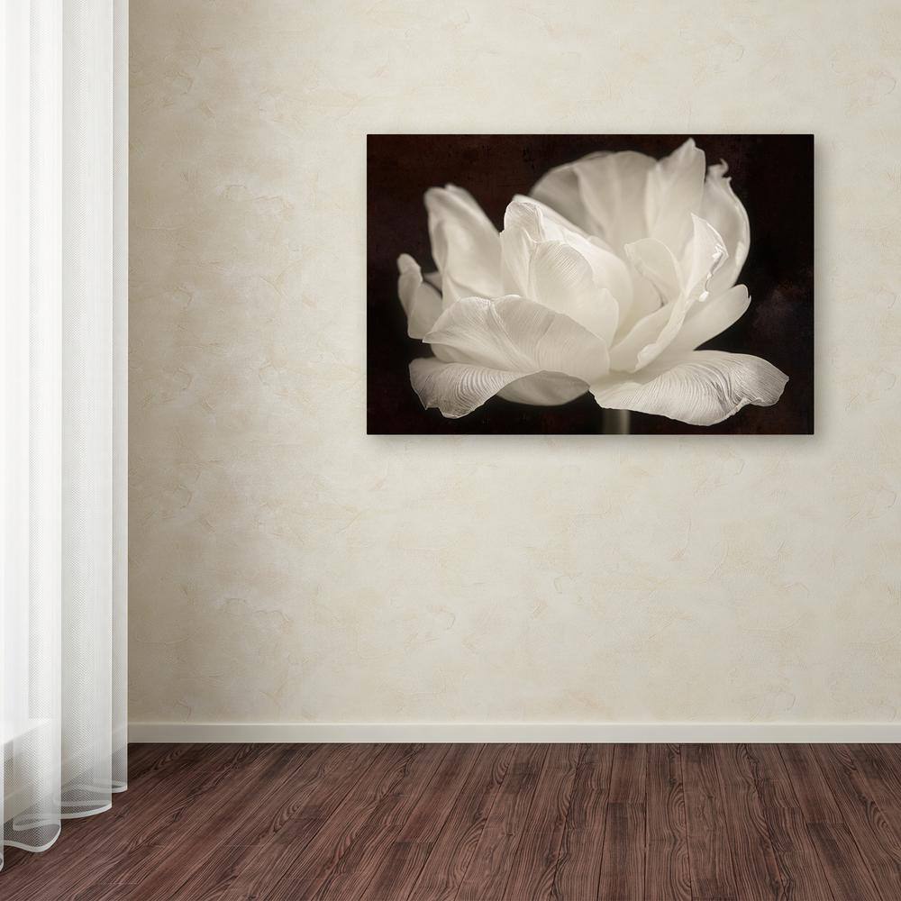 White Tulip III Black and White Canvas Wall Art