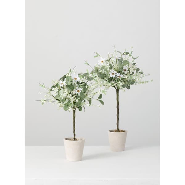 SULLIVANS 19" & 22"Artificial Potted White Daisy and Eucalyptus Topiary - Set of 2