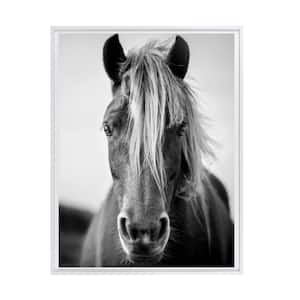 Black and White Wild Horse Framed Canvas Wall Art - 24 in. x 32 in. Size, by Kelly Merkur 1-pc White Frame