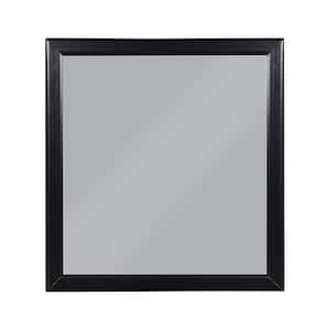Louis Philippe 38 in. x 1 in. Modern Rectangle Framed Black Decorative Mirror