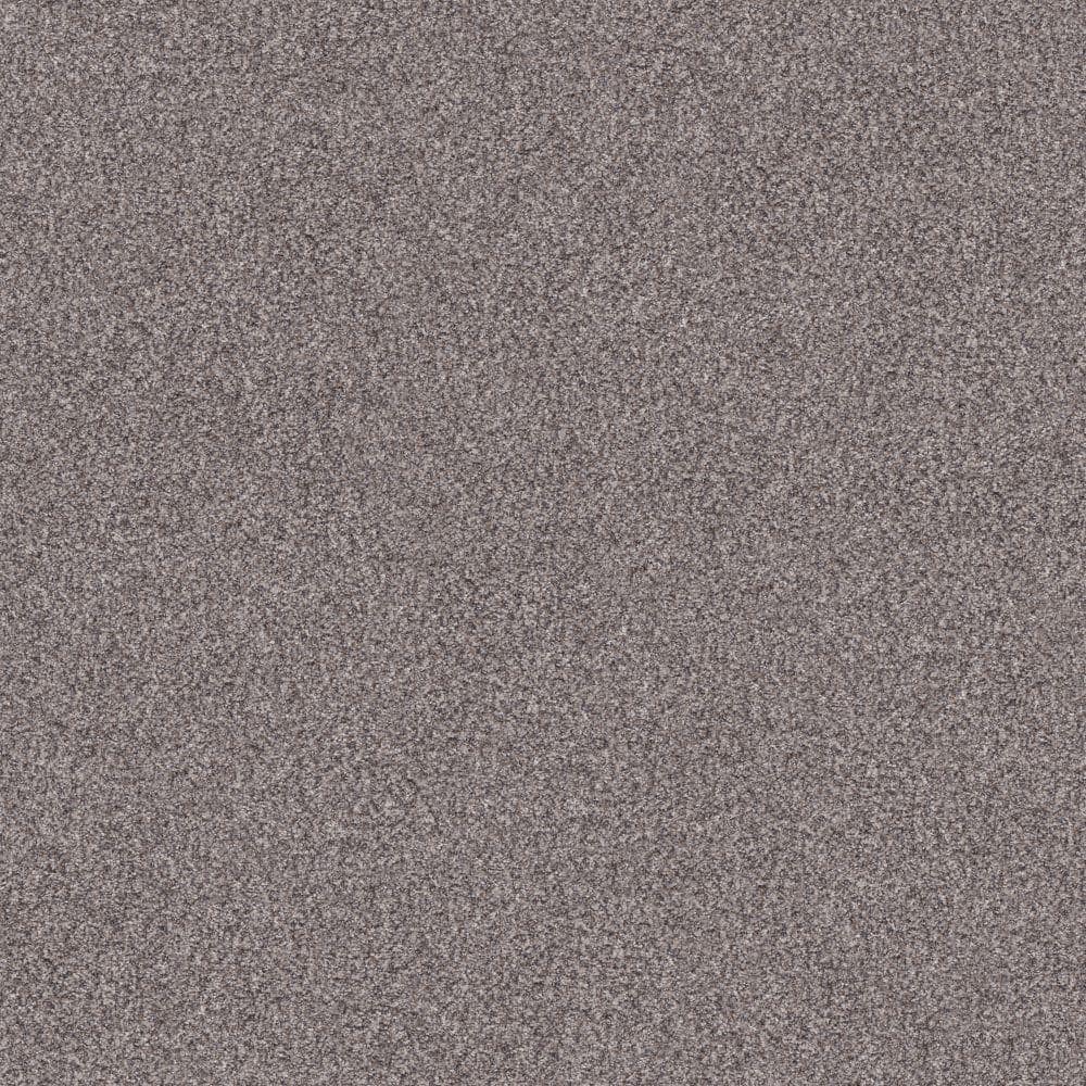 8 in. x 8 in. Texture Carpet Sample - Cherry on Top I - Color Tumbleweed price history on PriceWatchPro