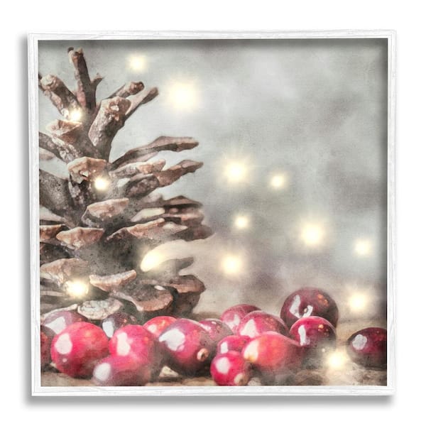 Stupell Industries Woodland Holiday Pinecone by LSR Design Studio 1-Piece Framed Graphic Print Animal Poster Art Print 24 in. x 24 in.
