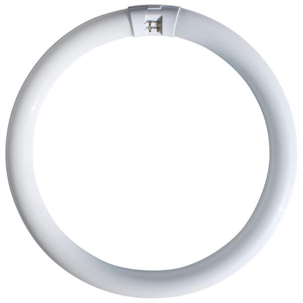 32-Watt Equivalent T9 12 in. Circline Fluorescent Non Dimmable Cool White 4100K Tube Bulb 6-Pack