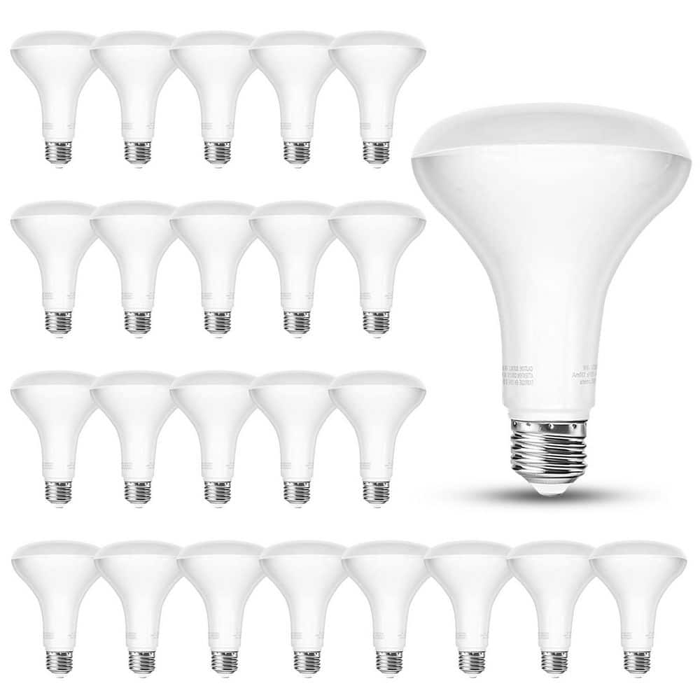 24 Pack BR30 Light Bulb, 65W Equivalent Dimmable Led Recessed Lights Bulb,5000K Soft Warm White, E26 Base Bulbs 9W,800LM price history on PriceWatchPro