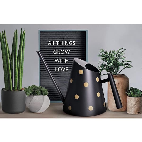 Indoor Watering Can with Long Spout - 35oz Black Watering Can for Indoor hot Plants