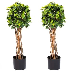 30 in. Artificial English Ivy Single Ball Topiary Tree (2-Pack)