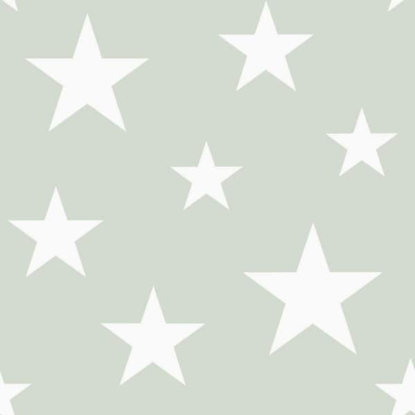 Chesapeake Green Amira Stars Matte Non-Pasted Wallpaper Sample