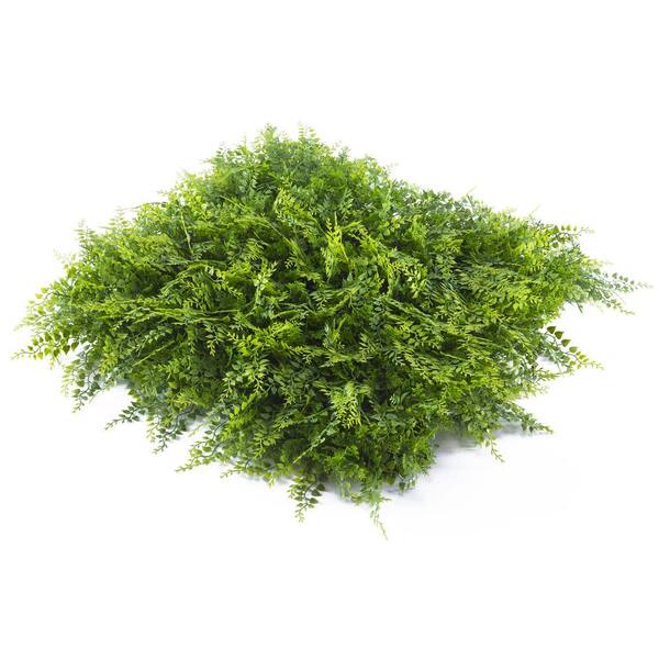 COLOURTREE 20" x 20" Wintergreen Fern-Artificial Korean Boxwood Hedges, Living Wall Panels (12 Piece)