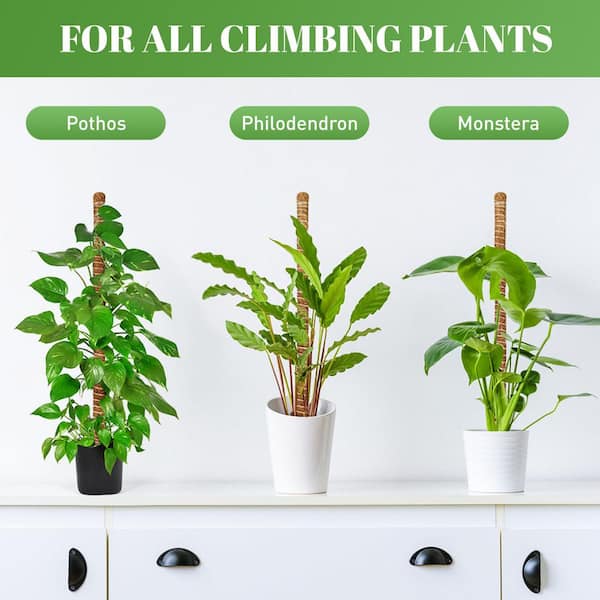 28 in. Bendable Moss Pole Plant Stake for Plant Monstera Climbing Plants, Coir Plant Pole Sticks Support Stakes (2-Pack)