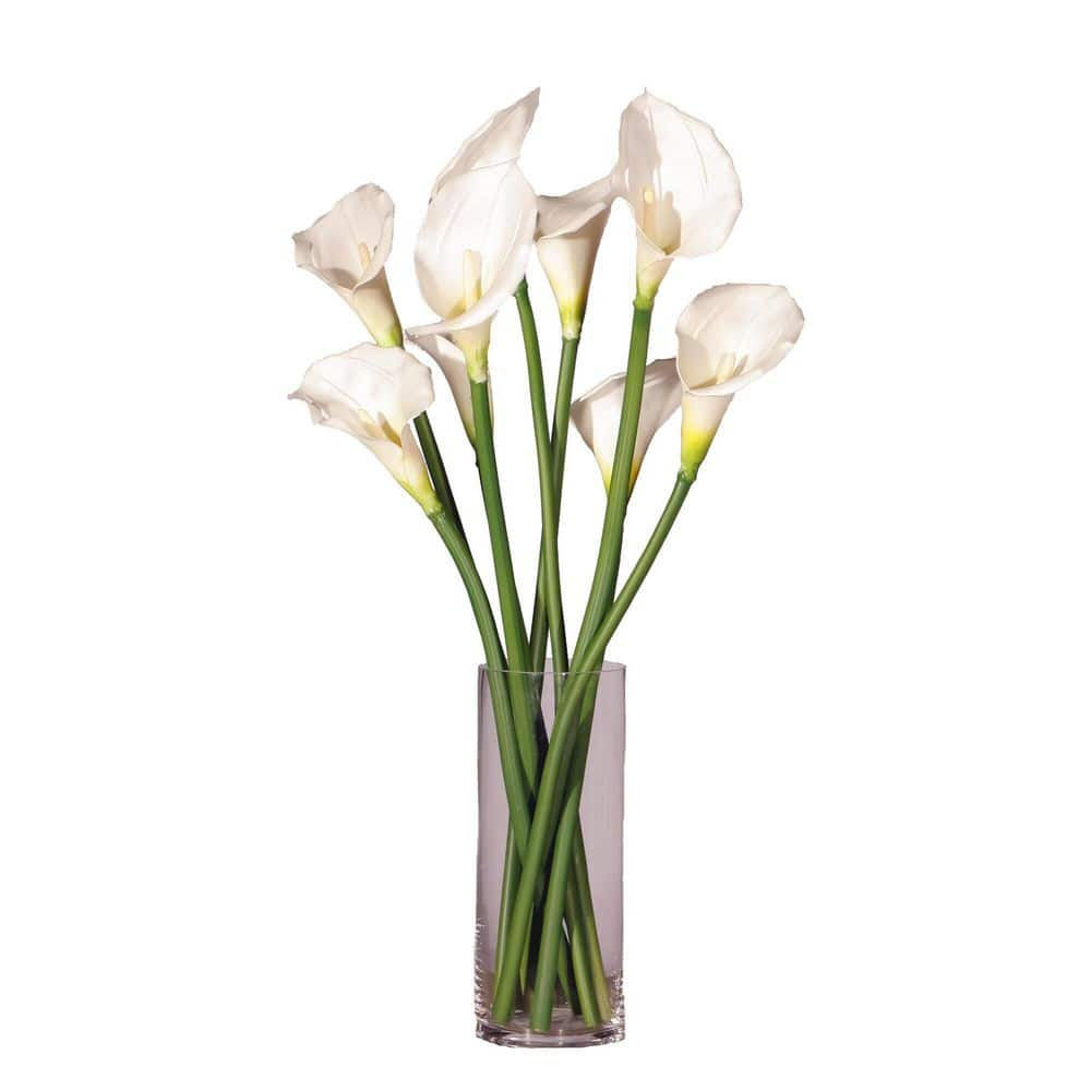 Vickerman Artificial 24  White Calla Lilys in Clear Glass Vase.