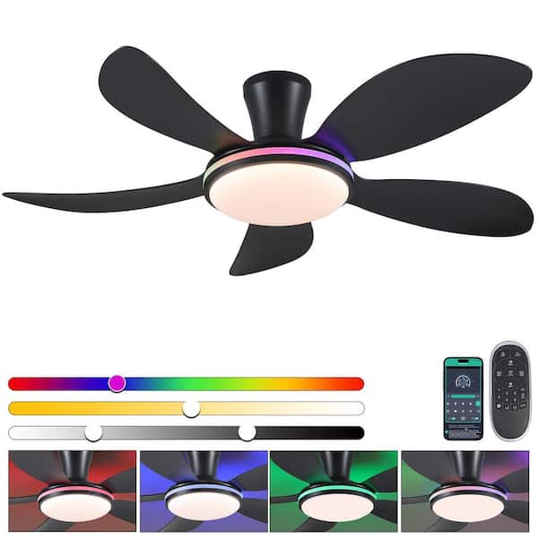 Kviflon 48 in. Indoor/Outdoor Modern Black 6-Speed Ceiling Fan with RGB Color LED Light and Remote/APP Control