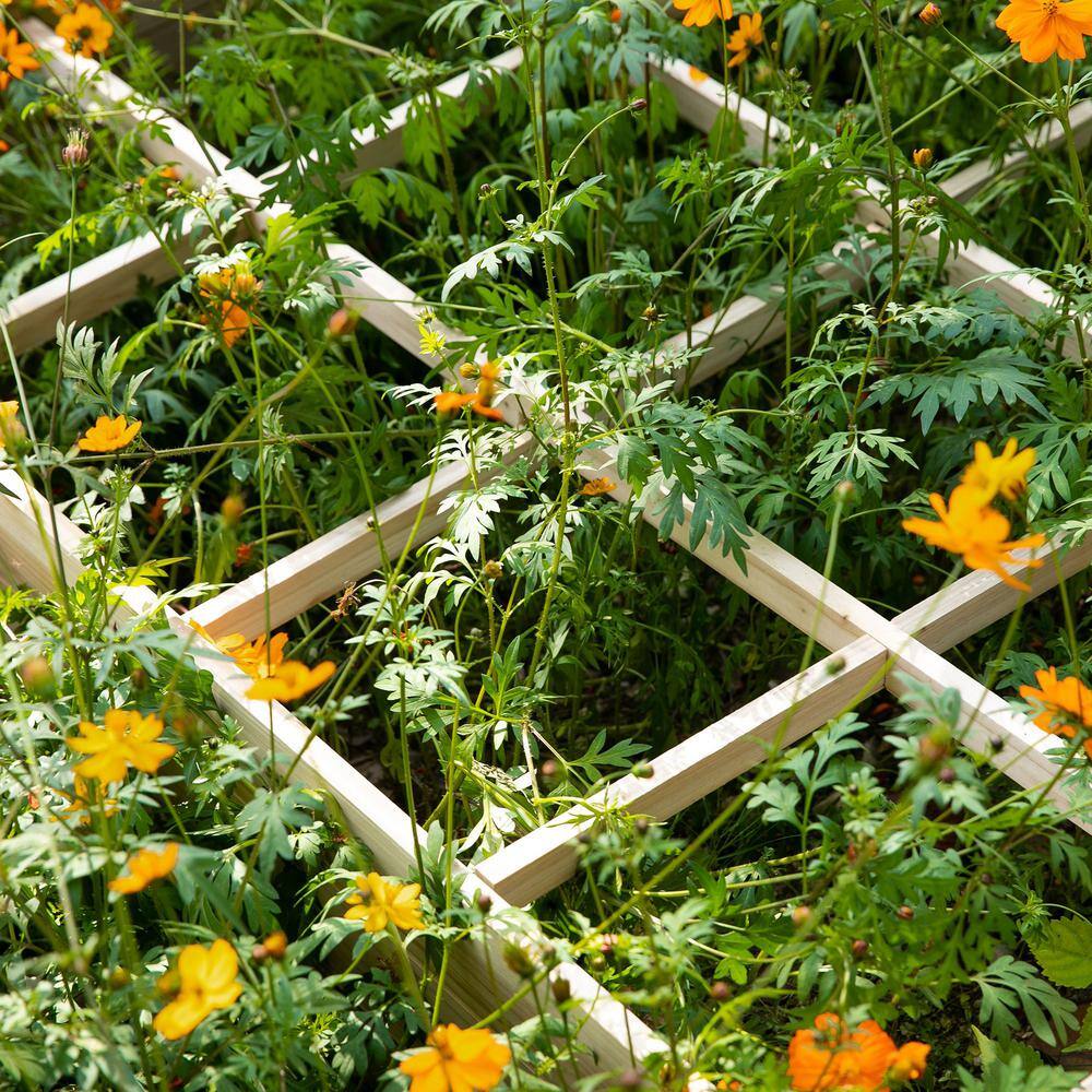 Natural Cedar Square Raised Garden Bed Kit with 9 Growing Grids