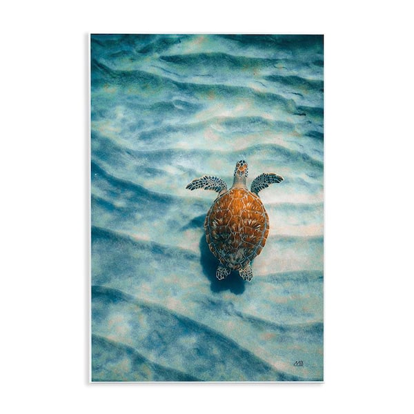 12 in. H x 18 in. W 