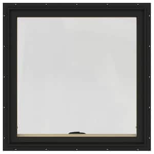 36 in. x 36 in. W-2500 Series Bronze Painted Clad Wood Awning Window w/ Natural Interior and Screen