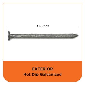 3 in. (10D) Hot Dipped Galvanized Smooth Common Nail 5 lbs. (315-Count)