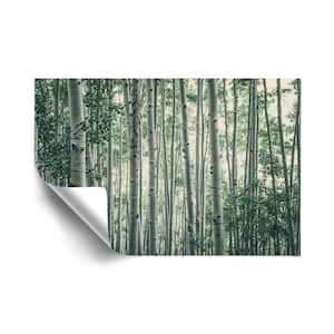 "Obscured by Alters" Landscapes Removable Wall Mural