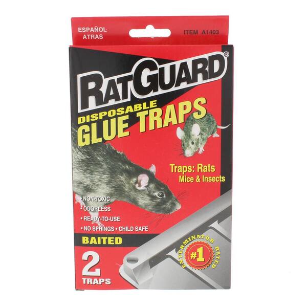 Harris Rat and Mouse Glue Trap Super-Size (5-Pack) 5BLKRAT-1 - The