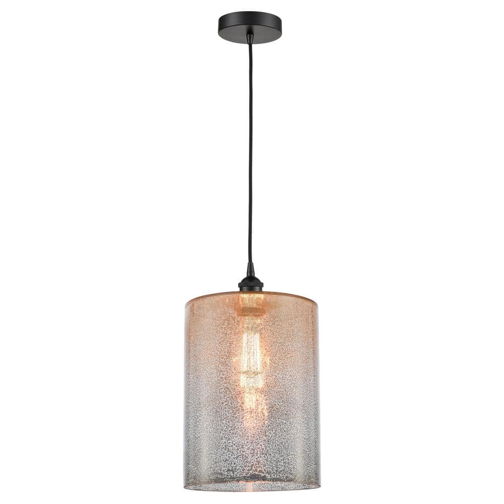 Cobbleskill 60-Watt 1-Light Matte Black Standard Mini Pendant Light with Mercury Glass, No Bulbs Included price history on PriceWatchPro