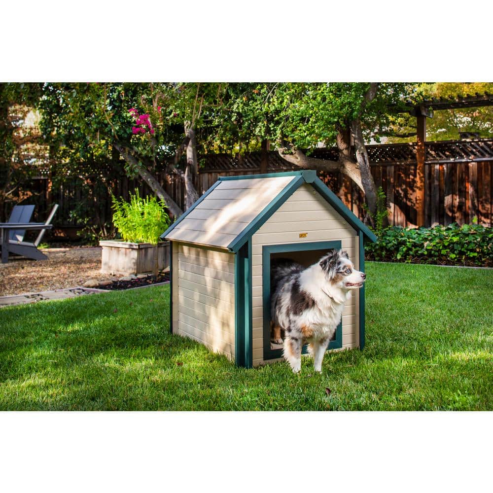 Large Maple and Green Insulated ECOFLEX Dog House