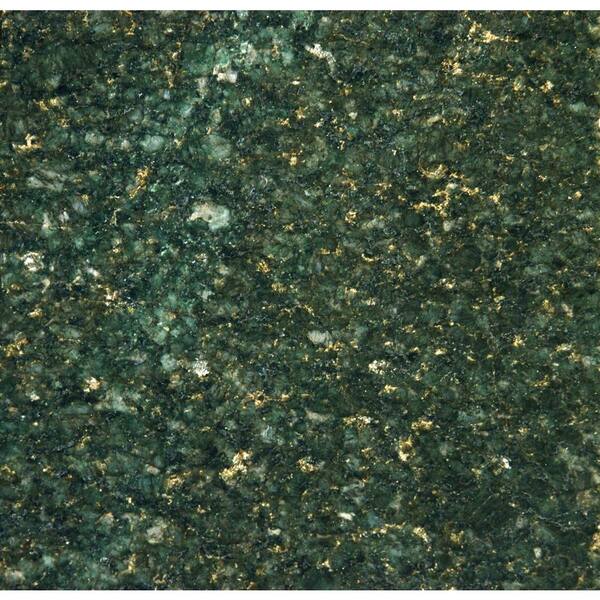 MSI Verde Ubatuba 18 in. x 18 in. Polished Granite Floor and Wall Tile (9 sq. ft. / case)