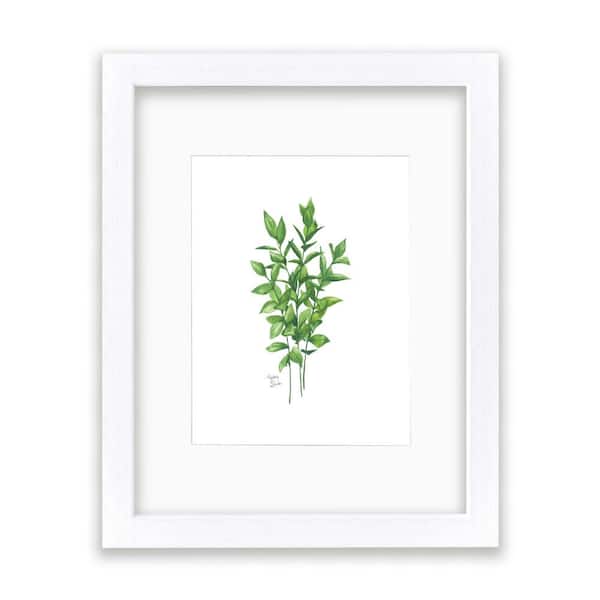 Unbranded Nature's Lace 1 "Israeli Ruscus" by Alyssa Lewis Individual White Framed with Mat Nature Art Print 20 in. x 16 in.