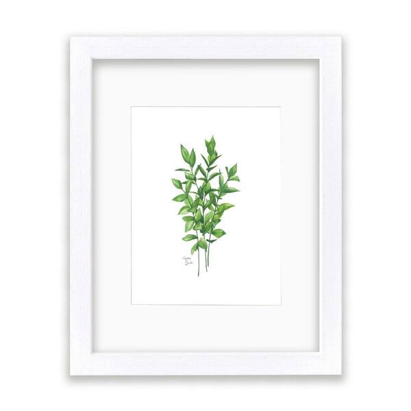 Unbranded Nature's Lace 1 "Israeli Ruscus" by Alyssa Lewis Individual White Framed with Mat Nature Art Print 24 in. x 18 in.