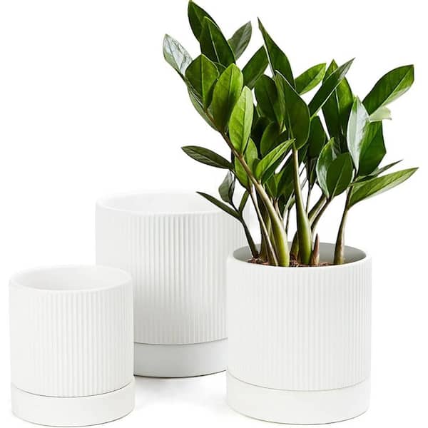 ITOPFOX Modern 6 in. L x 6 in. W x 6 in. H White Ceramic Round Indoor Planter (3-Pack)