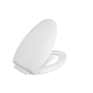Elongated Closed Front Toilet Seat with Safety Close in White