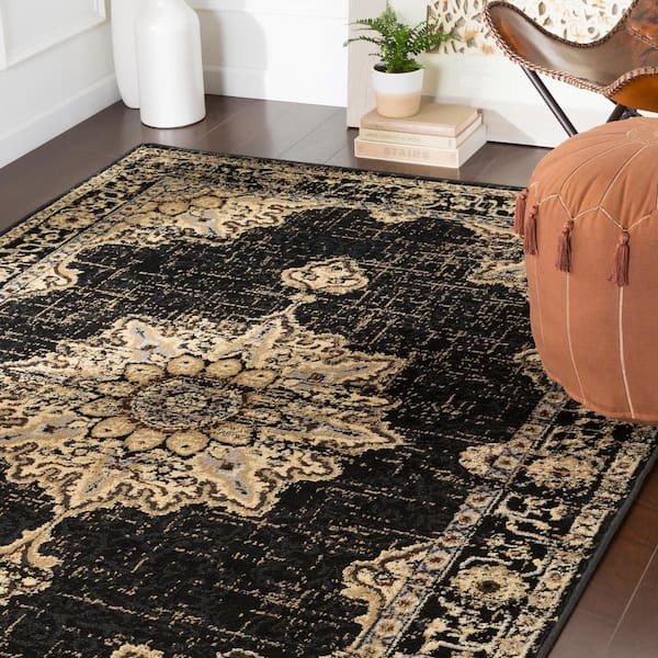 Sora Black Doormat 2 ft. x 3 ft. Oriental Area Rug
