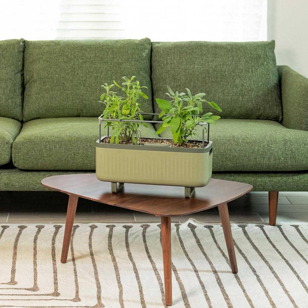 Sage Green Recycled Plastic Self-Watering Herb Planter Set with Trellis