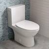 Swiss Madison Cache 2-piece 1.28 GPF Single Flush Elongated Toilet in ...