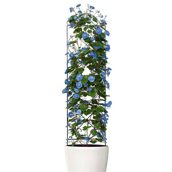4 Pack Metal Garden Trellis - 48" H X 12.5" W Black Plant Supports For Climbing Plants