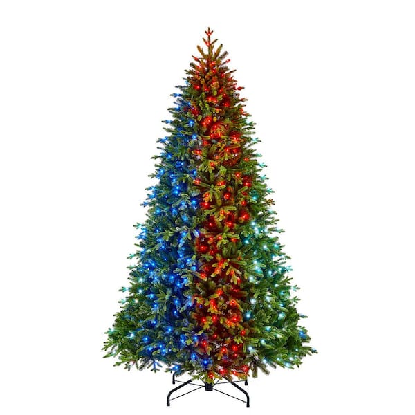 christmas trees with multi colored lights