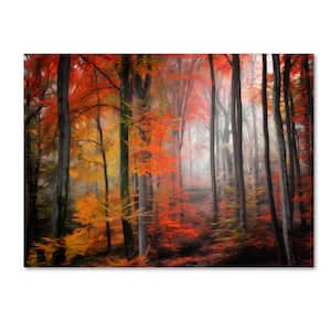 14 in. x 19 in. "Wildly Red" by Philippe Sainte-Laudy Printed Canvas Wall Art