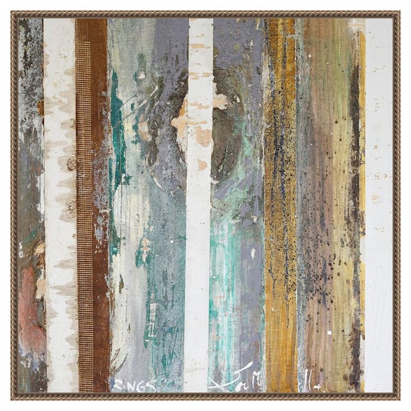 Amanti Art Textured Grain IV by Erin McGee Ferrell 30 in. W x 30 in. H. Canvas Wall Art Print Framed in Bronze