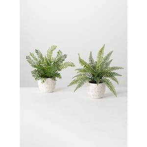 13" Artificial Green Potted Fern Plant - Set Of 2