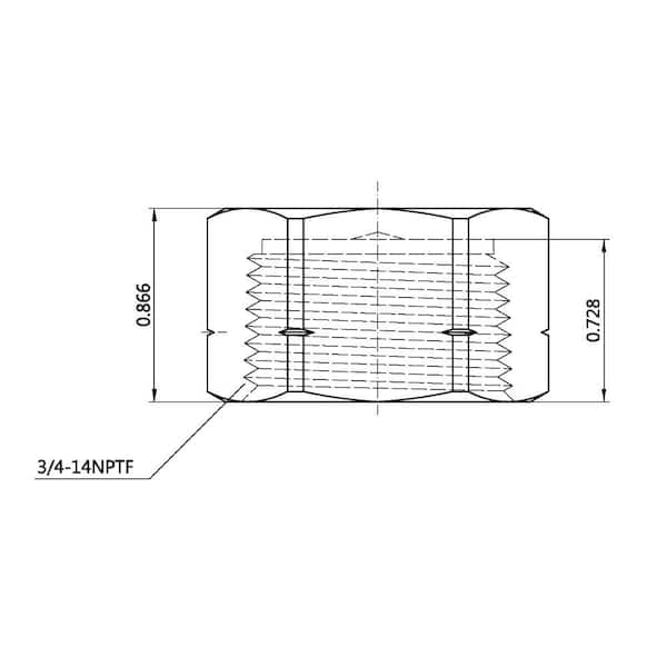 3/4 in. FIP Brass Cap Fitting