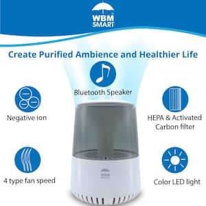 12.9 in. White Air Purifier Air Cleaner for Home HEPA Filter Bluetooth Speaker Air Purifier