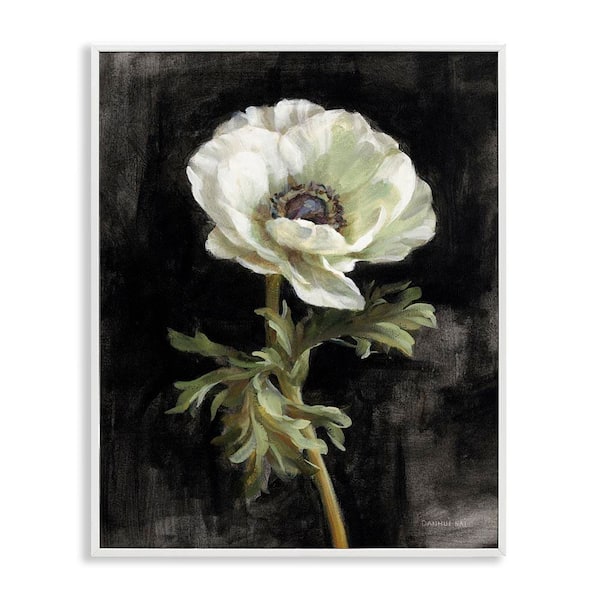 Stupell Industries Anemone on Black by Danhui Nai White Framed Nature Giclee Art Print 30 in. x 24 in.