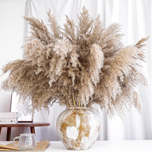 Unbranded 2.3 in. Pampas Grass 40 Pieces Natural Dried Boho Artificial  Plant Decor Beige for Centerpieces Vase Fillers Wedding 59B1124C1609