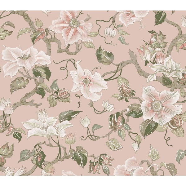Marguerite Vine Blush Pink Wallpaper