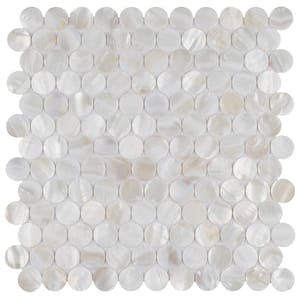 Conchella Penny White 11-1/4 in. x 11-5/8 in. Natural Shell Mosaic Tile (9.3 sq. ft./Case)