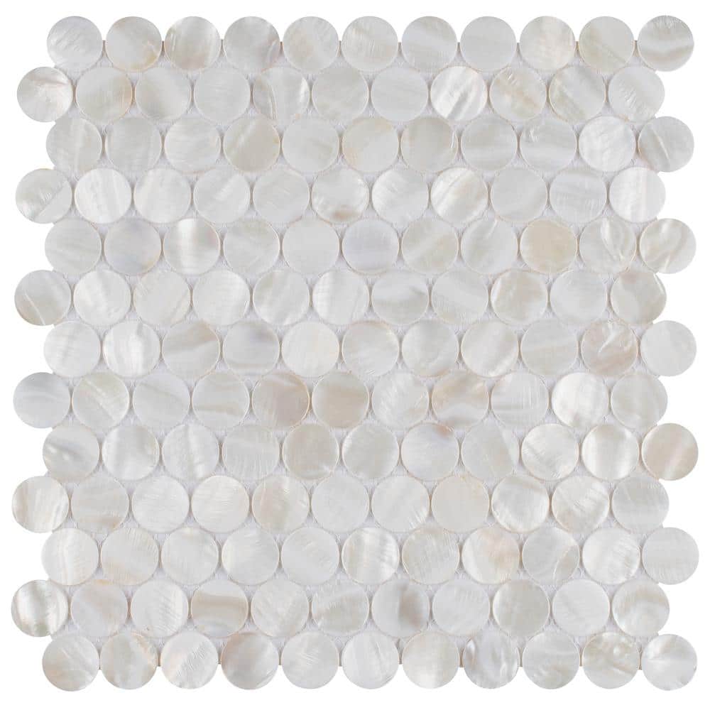 Conchella Penny White 6 in. x 6 in. Natural Shell Mosaic Take Home Tile Sample price history on PriceWatchPro
