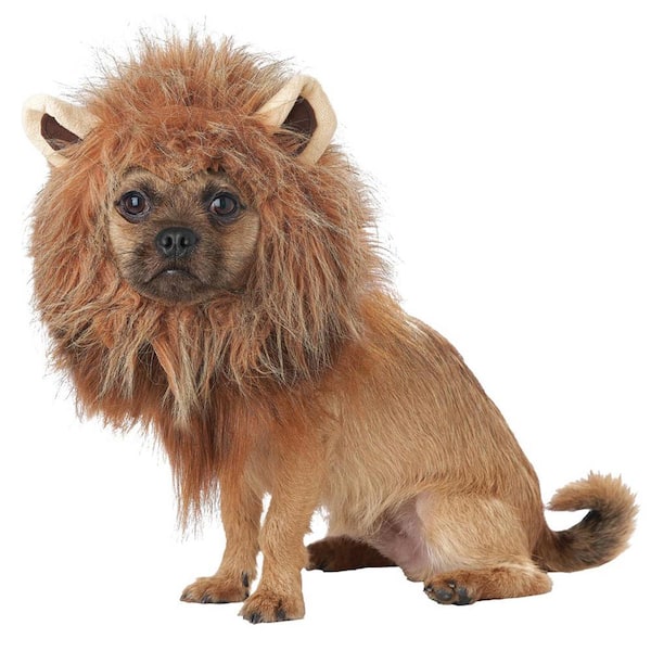 Unbranded King of the Jungle Dog Costume - Small