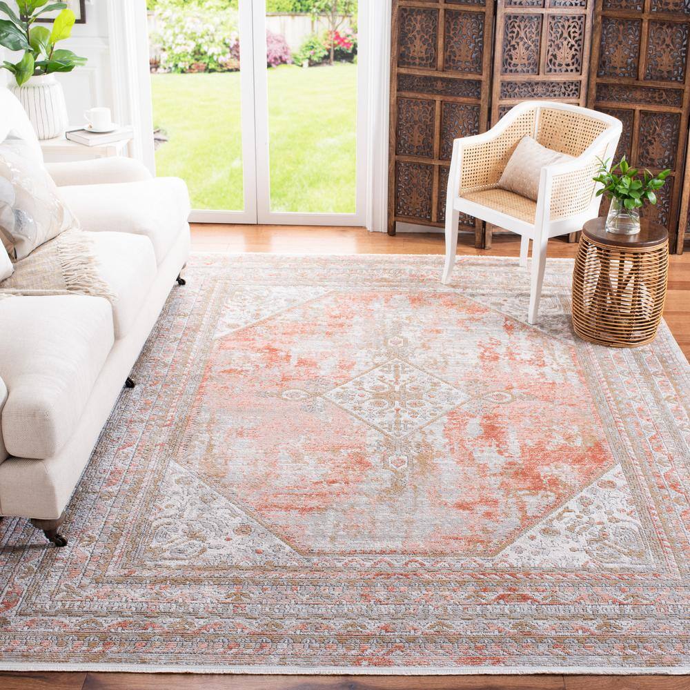 Shivan Rose and Gray Medallion Distressed Area Rug